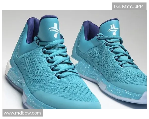 骑士对决黄蜂林书豪展现华丽球技引发球迷热烈讨论