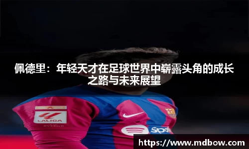 zoty中欧体育赛事