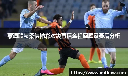 zoty中欧官网首页