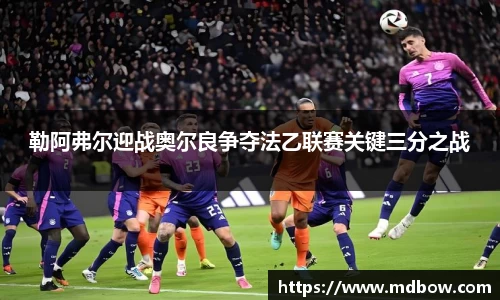 zoty中欧官网首页